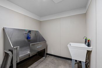 Pet bathing station